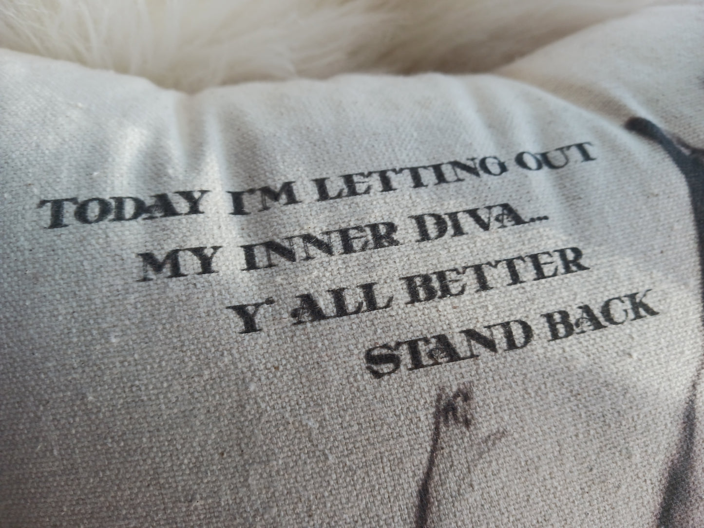 Inner Diva Throw Pillow