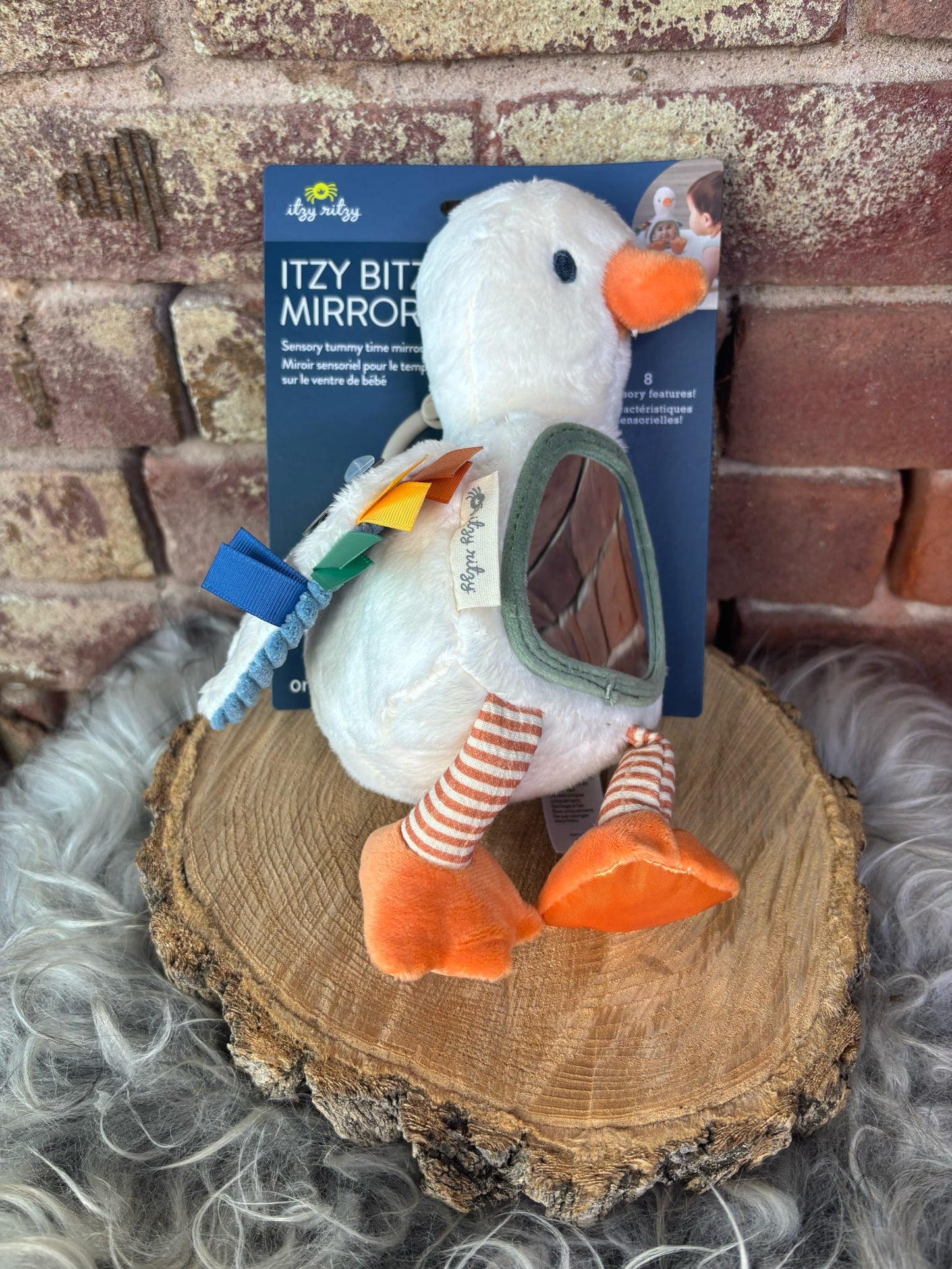 Goose Mirror