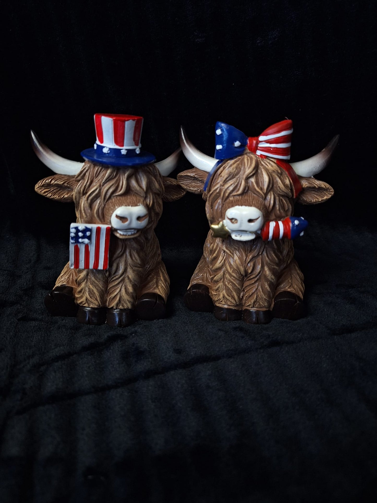 Highland Cow USA