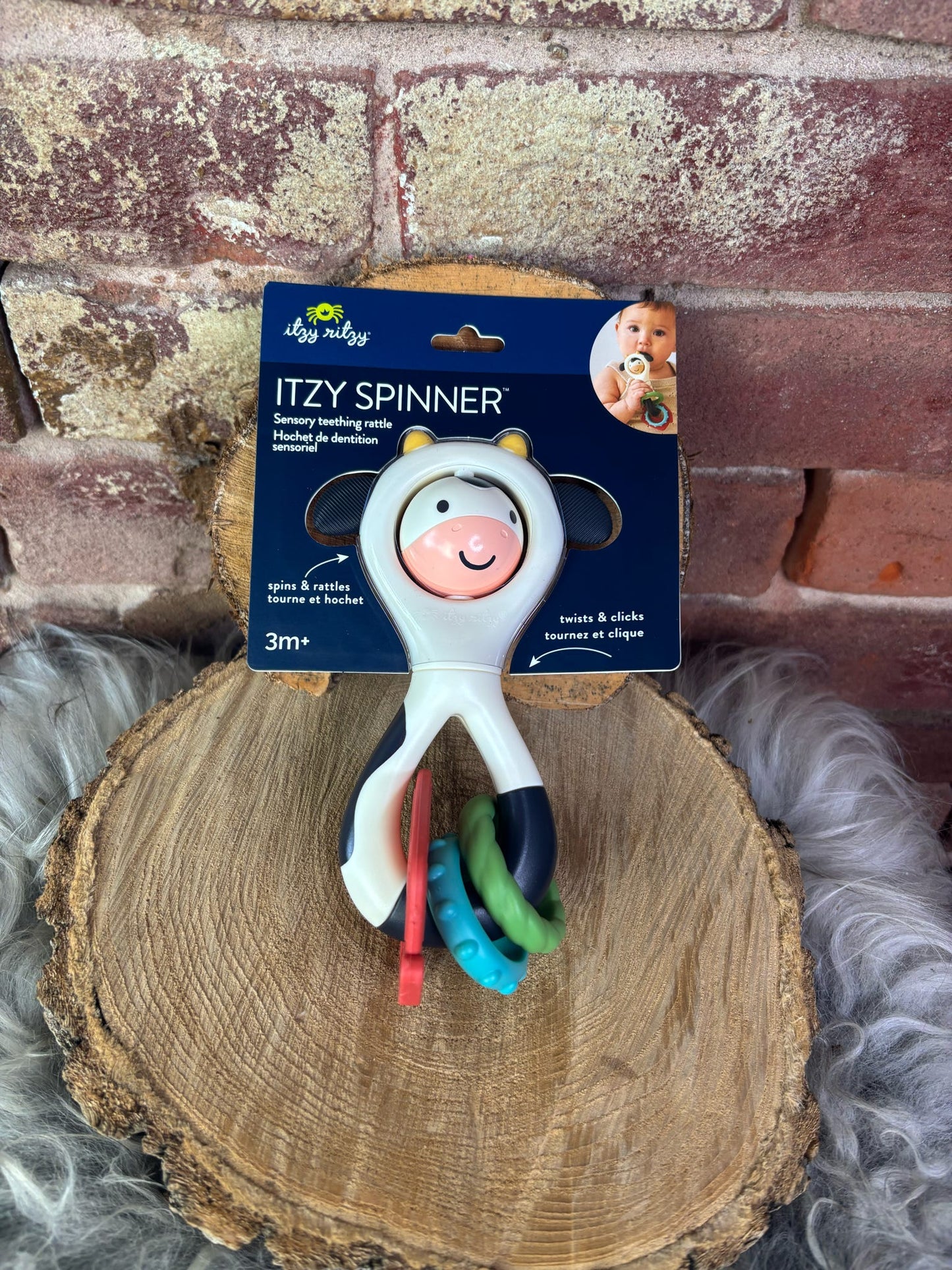 Spinner Rattle Cow