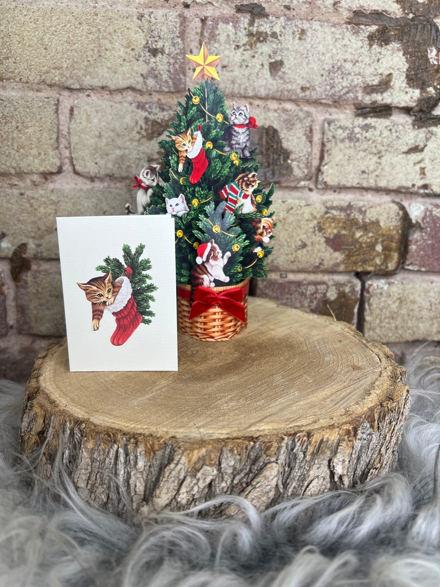 Christmas Mini Fresh Cut Flowers