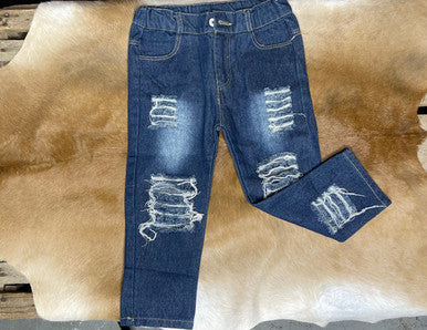 Kids Ripped Skinny Jean